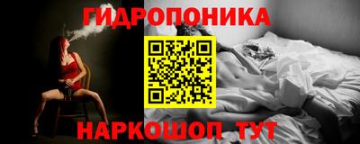 apvp Кунгур