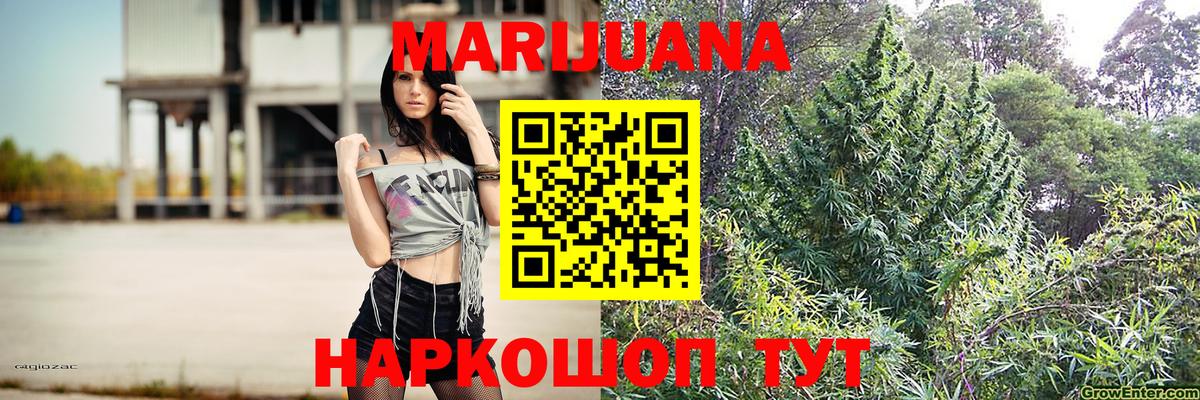 Канабис сатива Иваново
